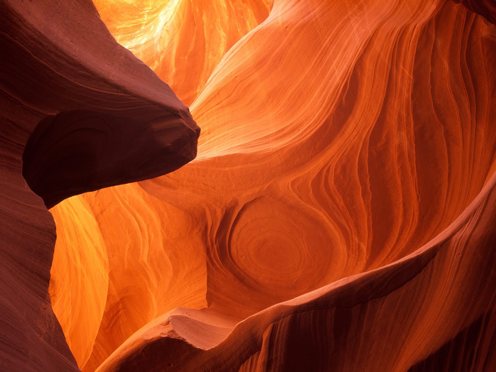 nature Wallpaper