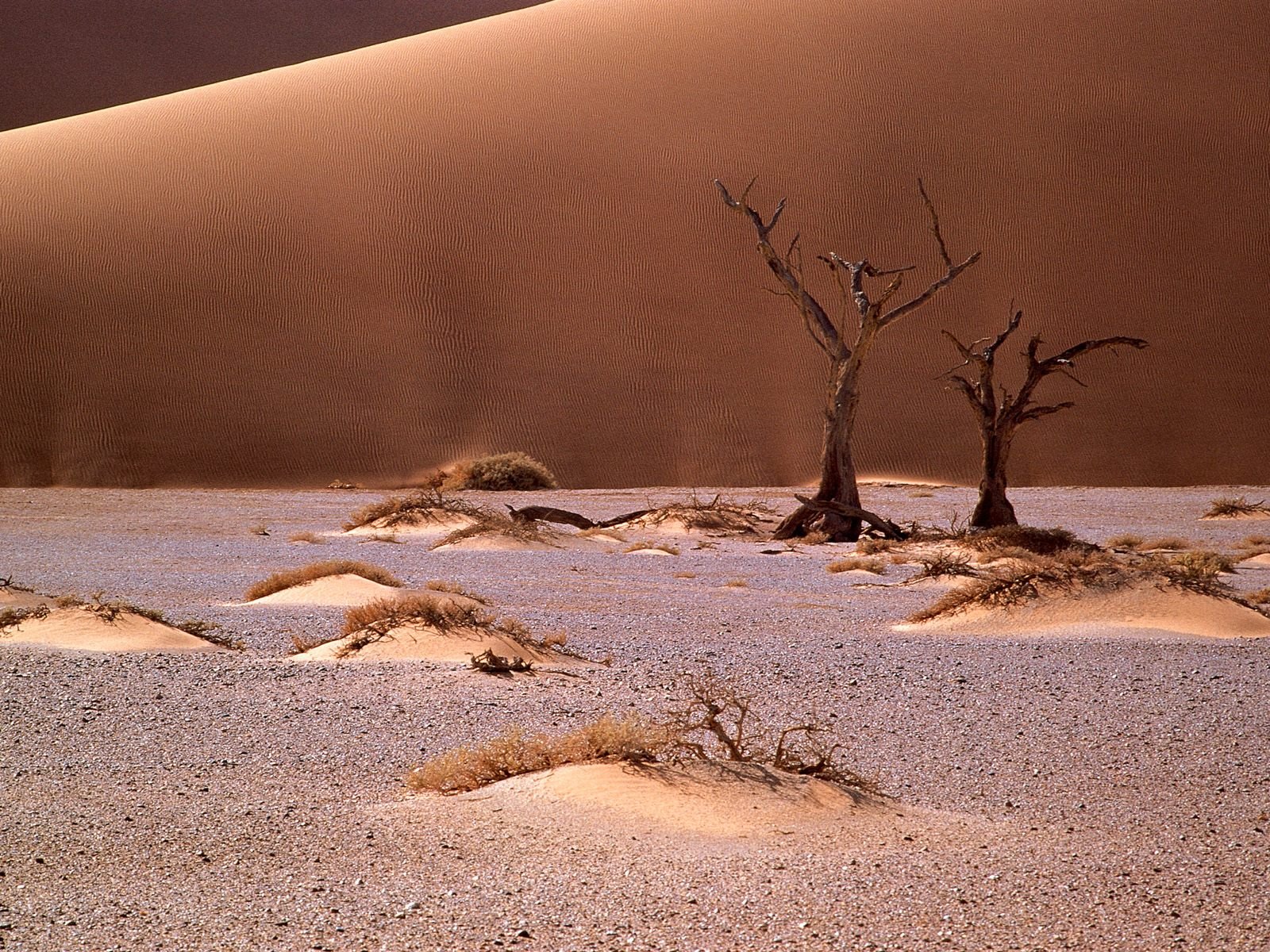 nature Wallpaper