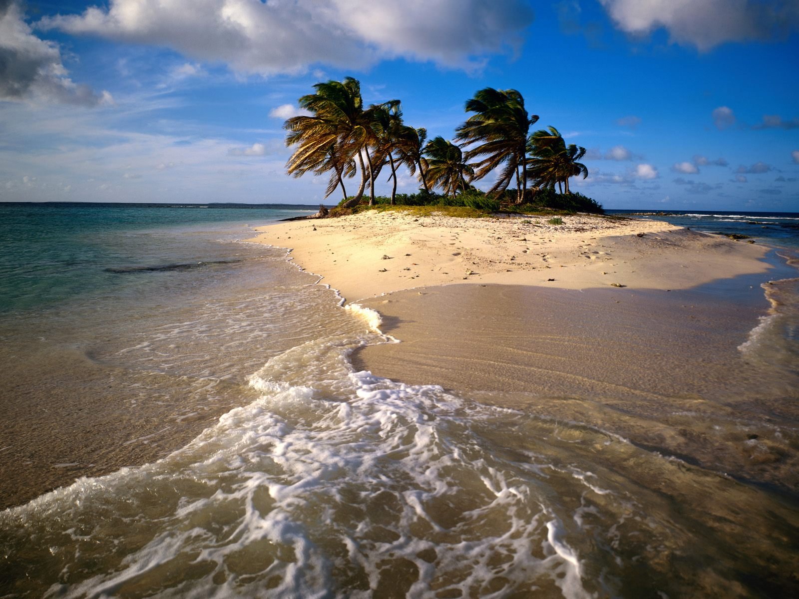 nature Wallpaper
