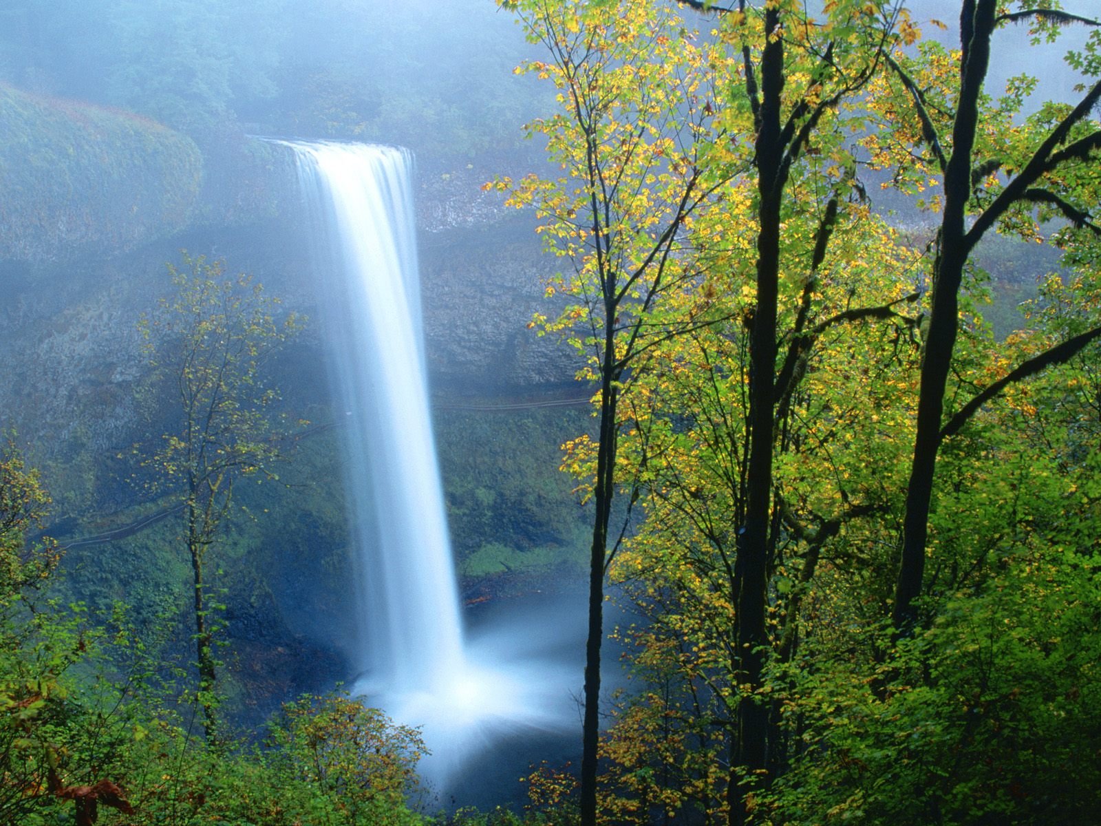 nature Wallpaper