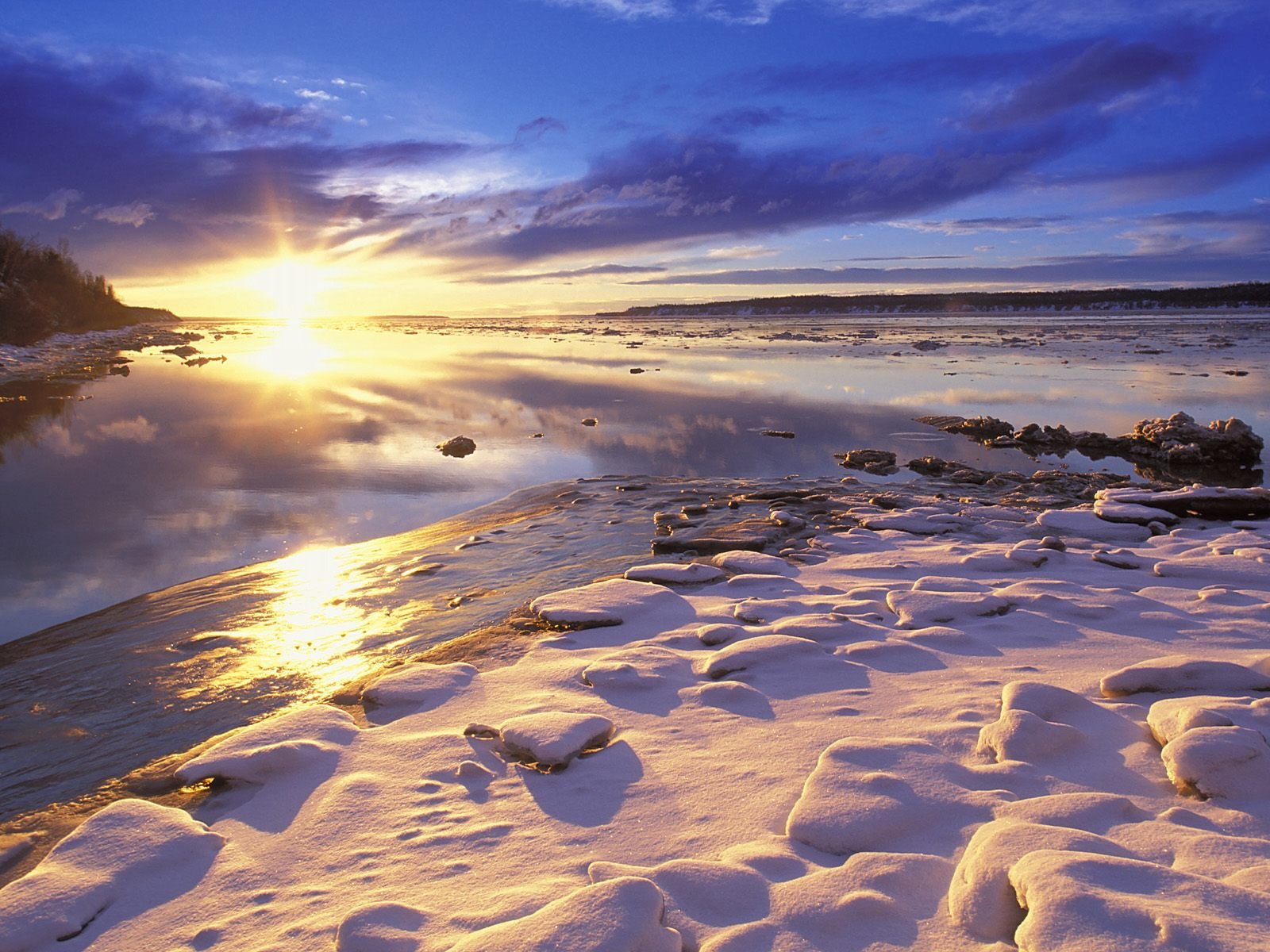 nature Wallpaper