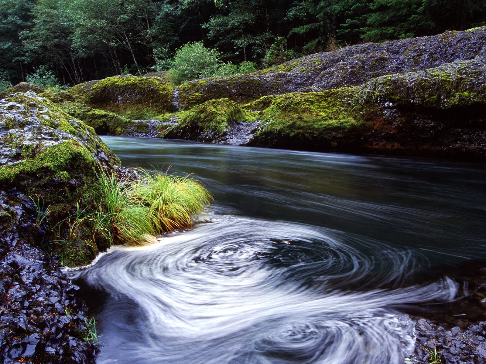nature Wallpaper