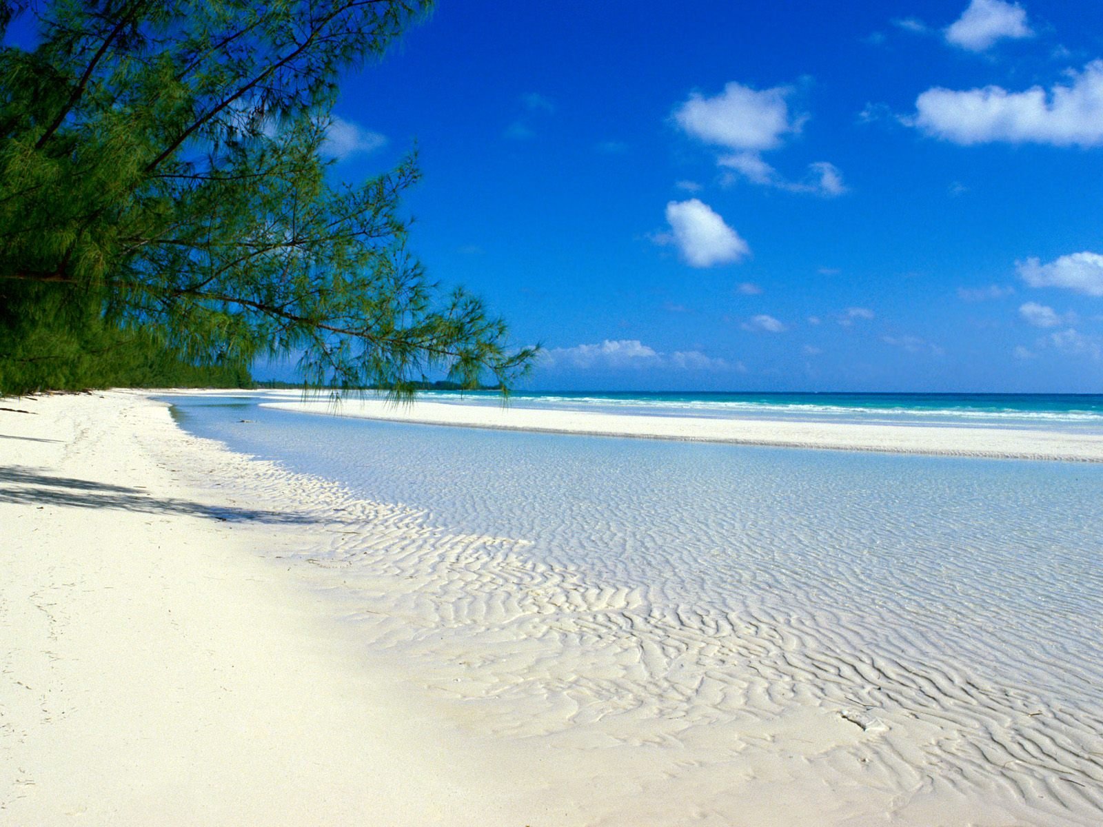 nature Wallpaper