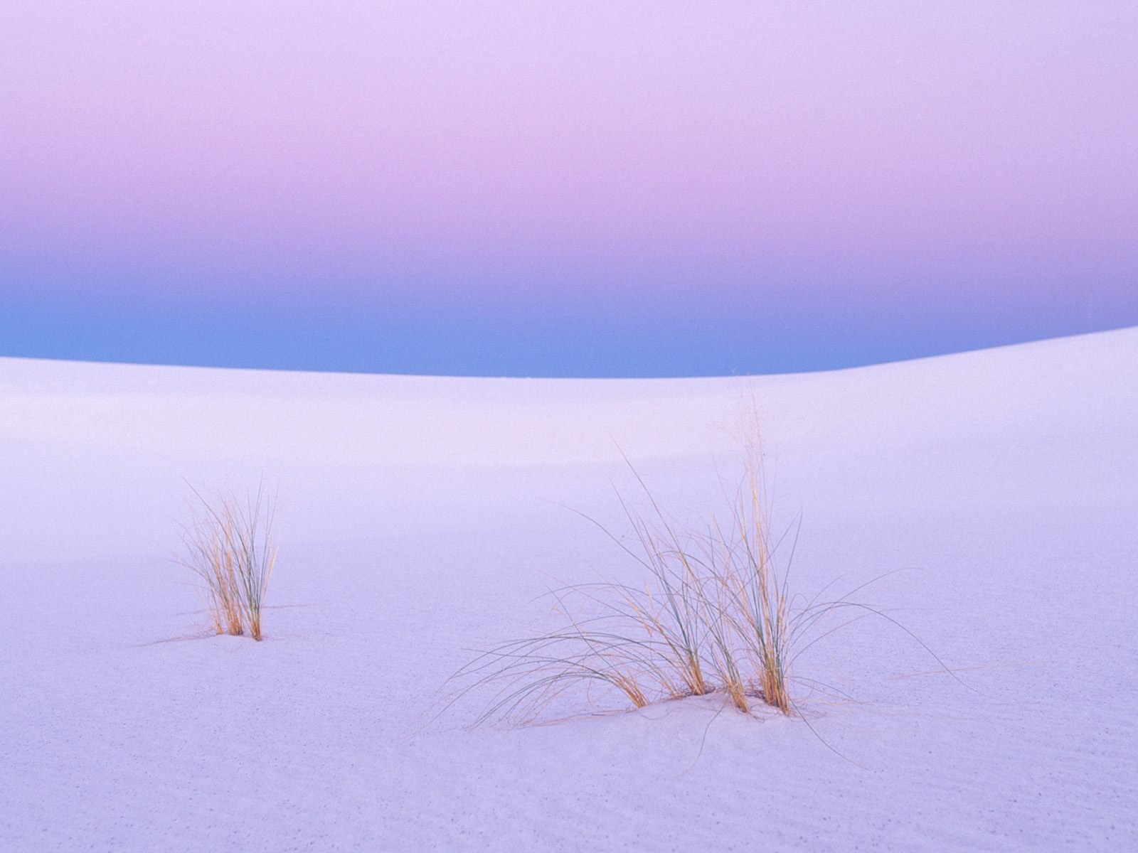 nature Wallpaper