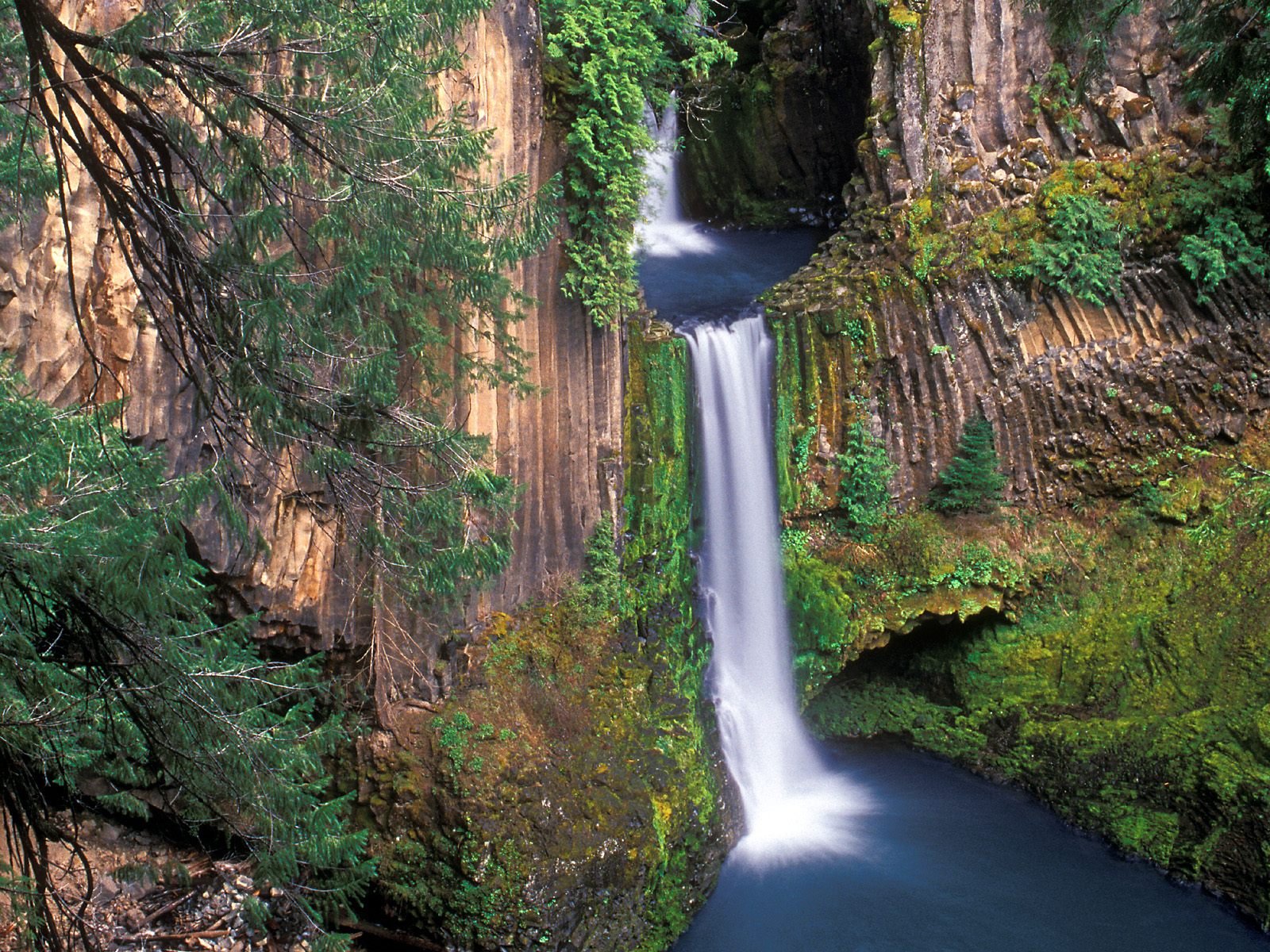 nature Wallpaper