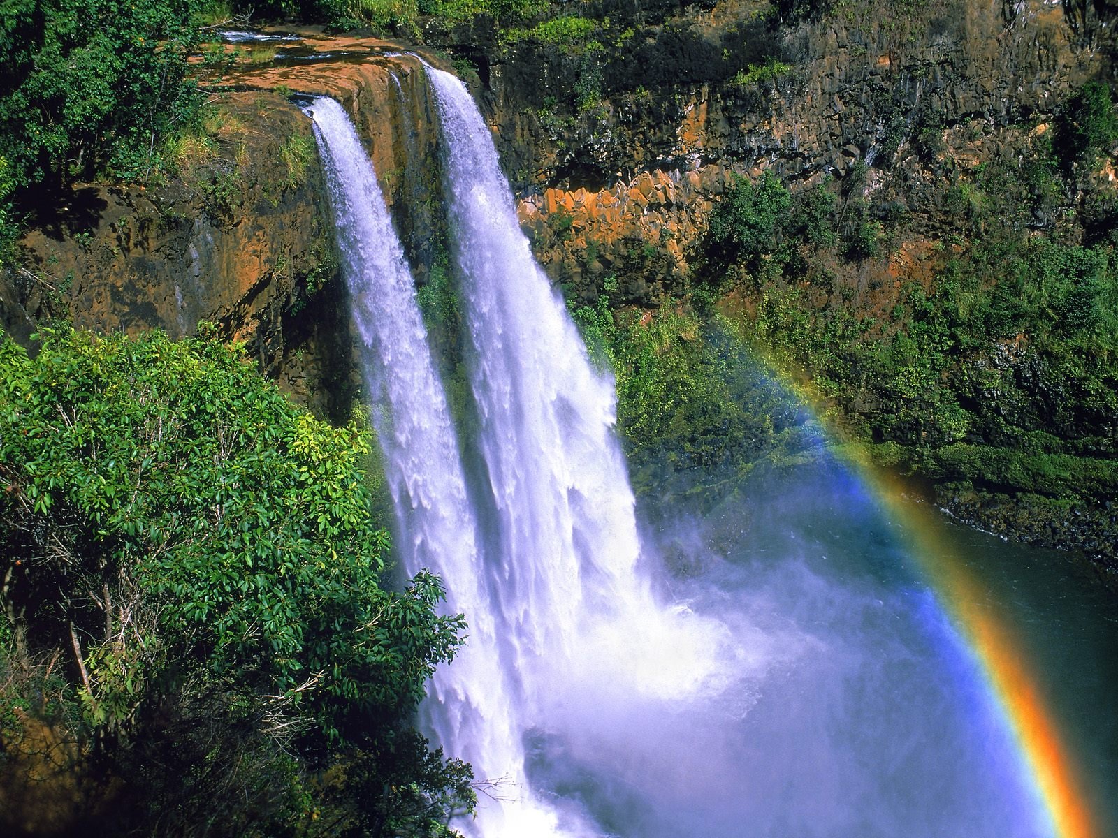 nature Wallpaper