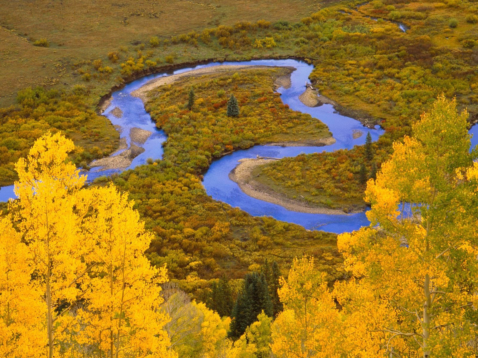 nature Wallpaper