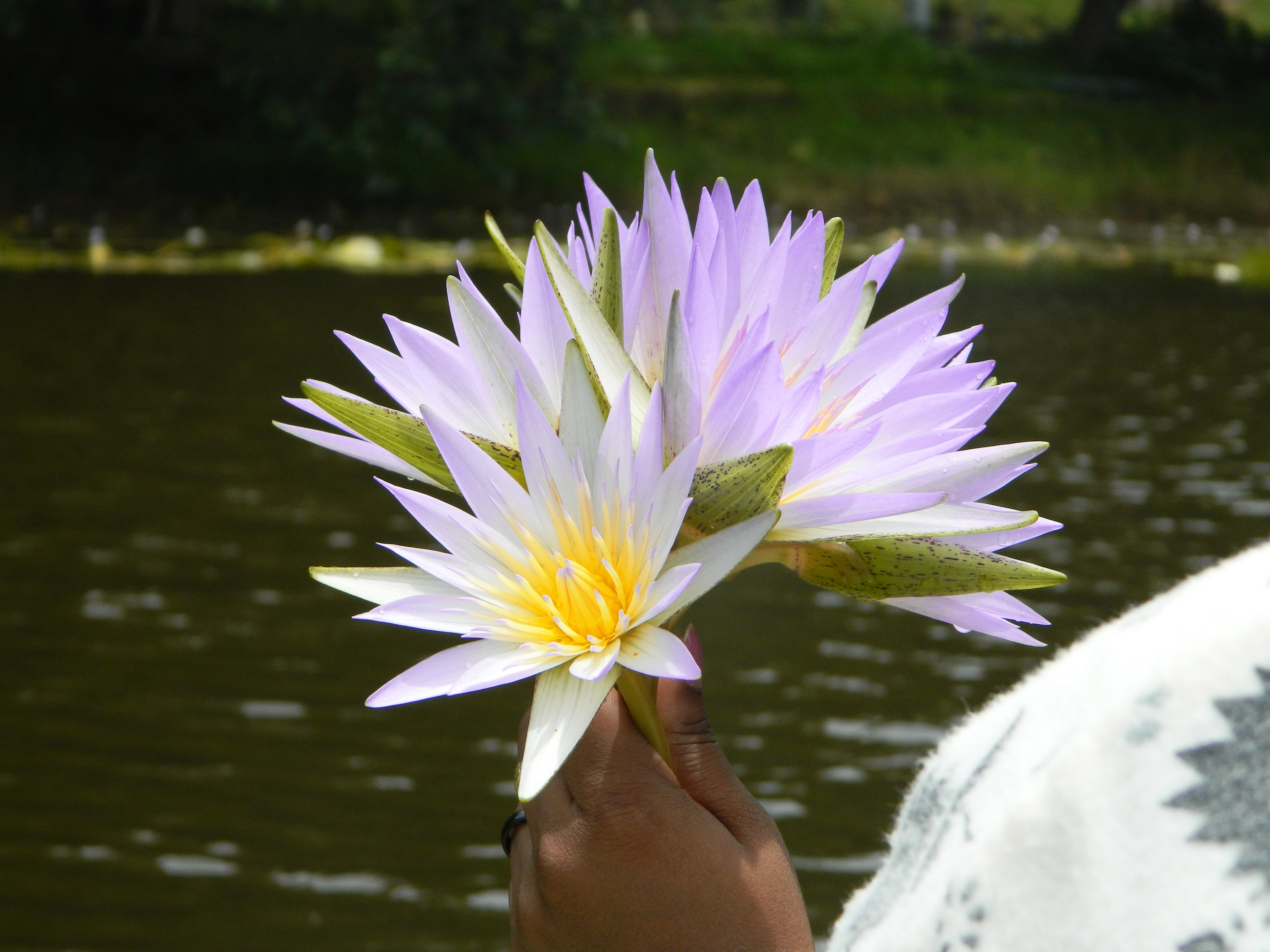 482229 Wallpapers HD / Desktop and Mobile Backgrounds