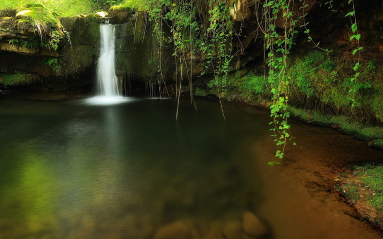 nature, Creek, Forest, Waterfall, Trees HD Wallpaper Desktop Background