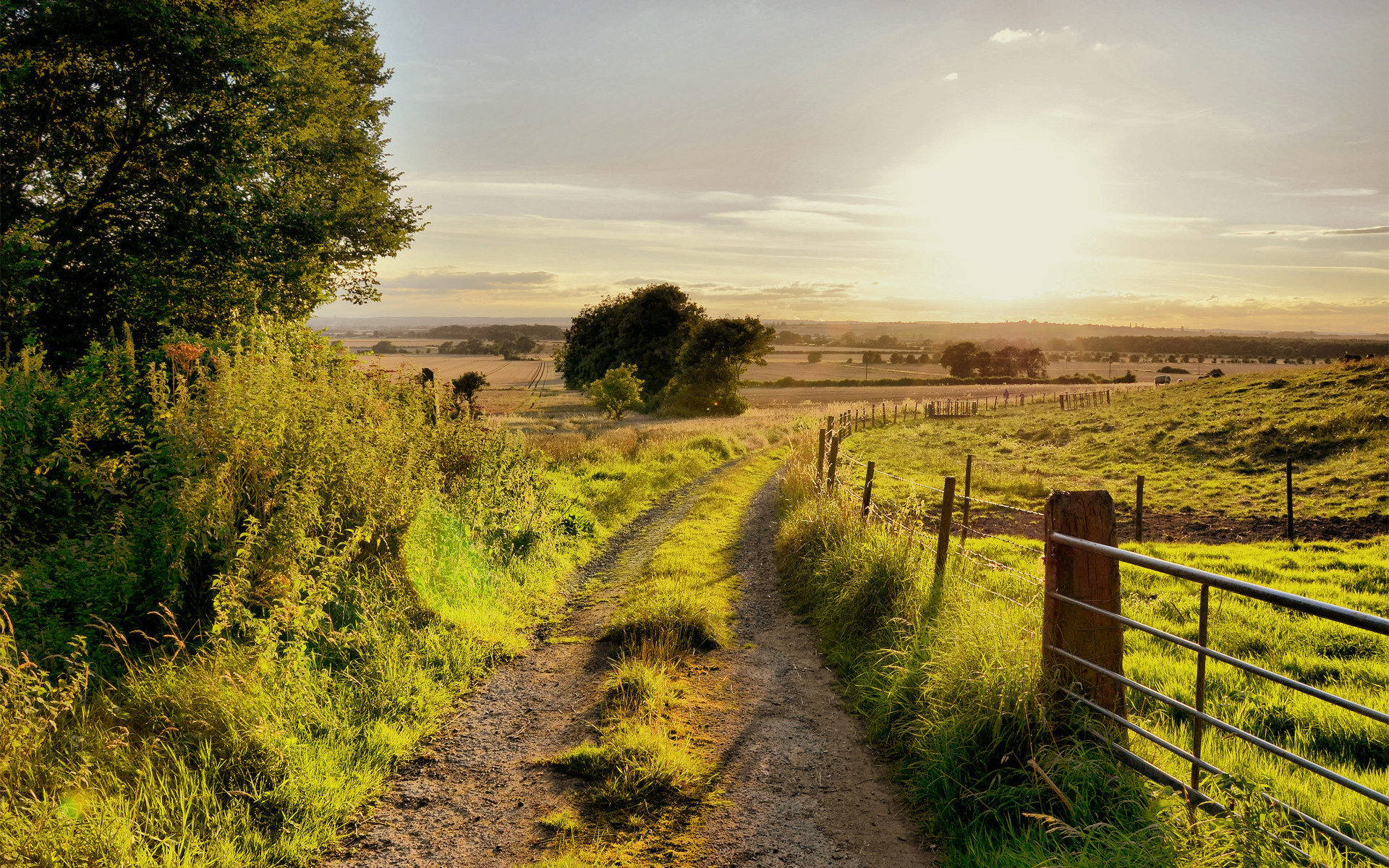 road, Trees, Herbs, Fence, Summer, Sunrise, Sunset, Sky, Fence