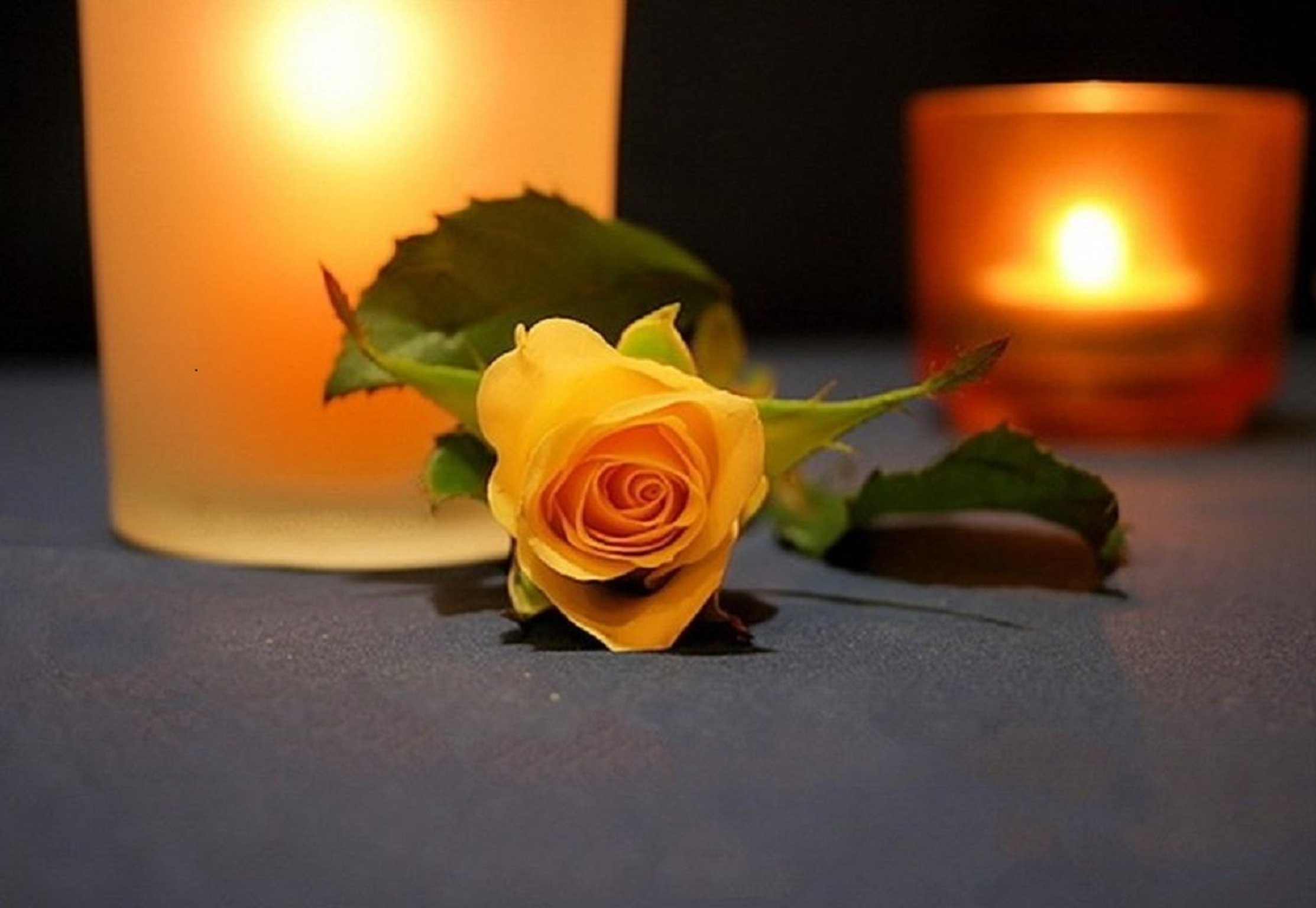 roses, Candles, Flowers Wallpaper
