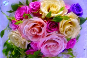roses, Bouquet, Flower