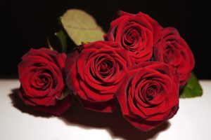 red, Roses, Bouquet, Special, Days, For, You