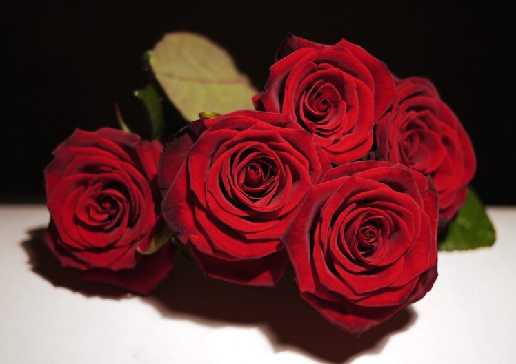 red, Roses, Bouquet, Special, Days, For, You HD Wallpaper Desktop Background