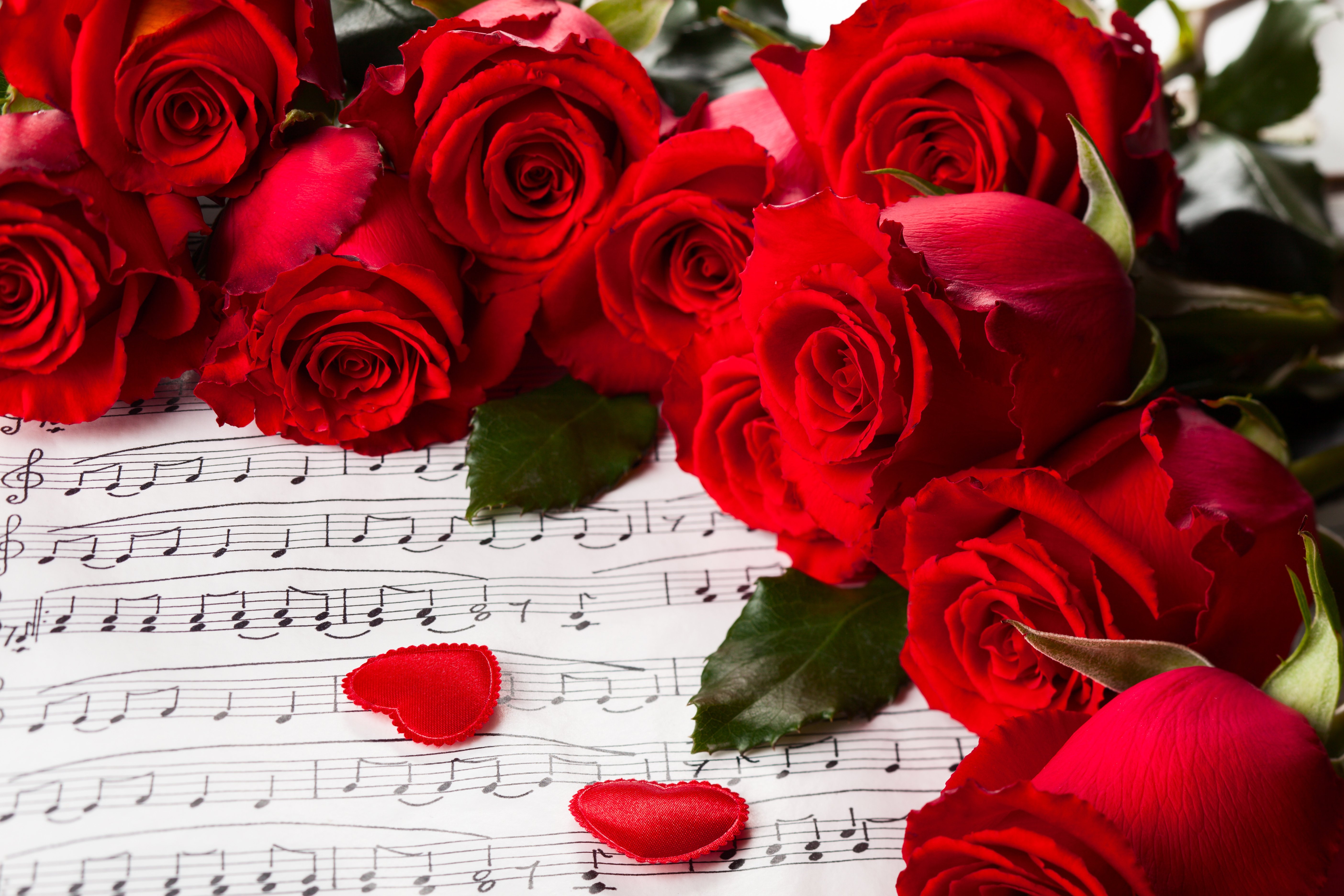 hearts, Valentines, Day, Red, Roses, Nature, For, You, Roses, Music, Rose, With, Love, Flowers Wallpaper