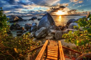 coast, Rocks, Sea, Sunset, Caribbean, Branches, Leaves, Clouds, Beaches, Hdr