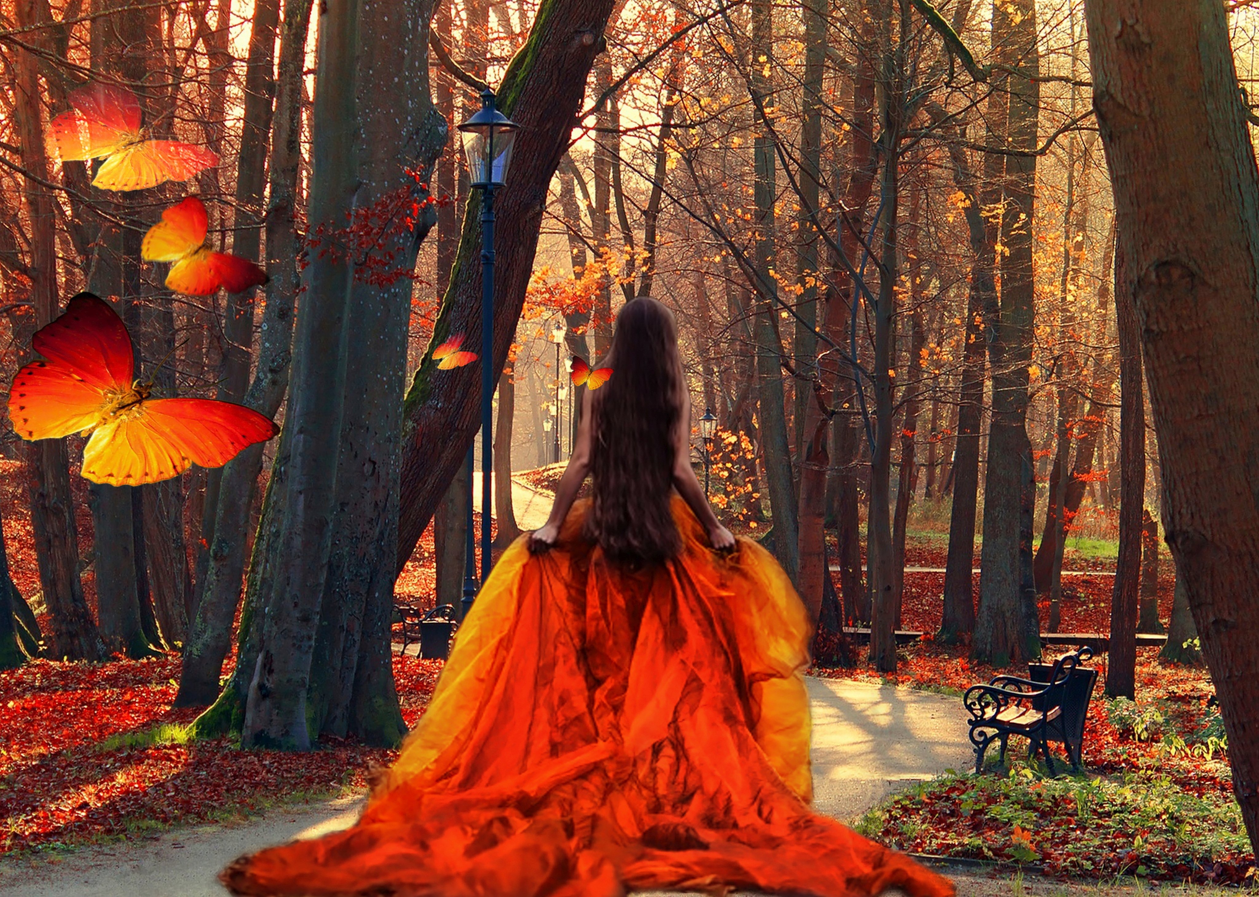 trees, Leaves, Long, Hair, Orange, Season, Brunette, Long, Dress, Butterflies, Lady, Beauty, Girl, Park, Autumn Wallpaper