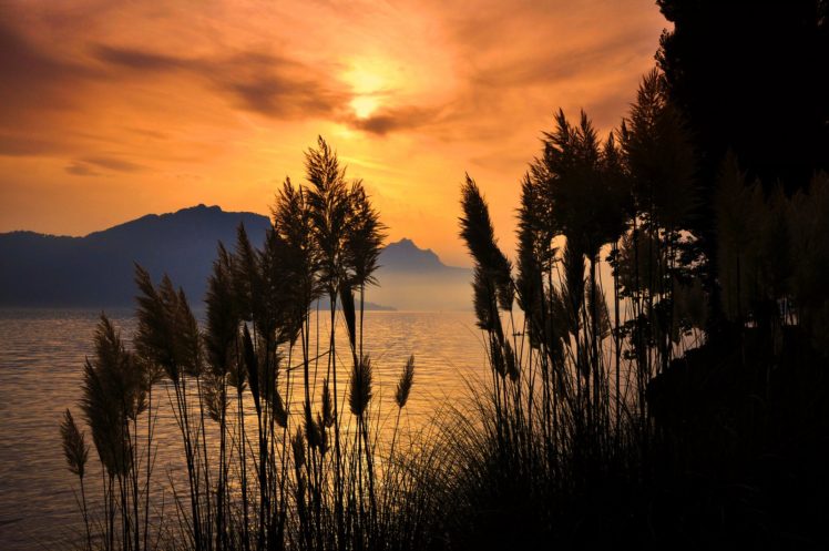 sunlight, Sunset, Sea, Mountain, Reeds, Forest, Tree, Amazing, Landscape HD Wallpaper Desktop Background