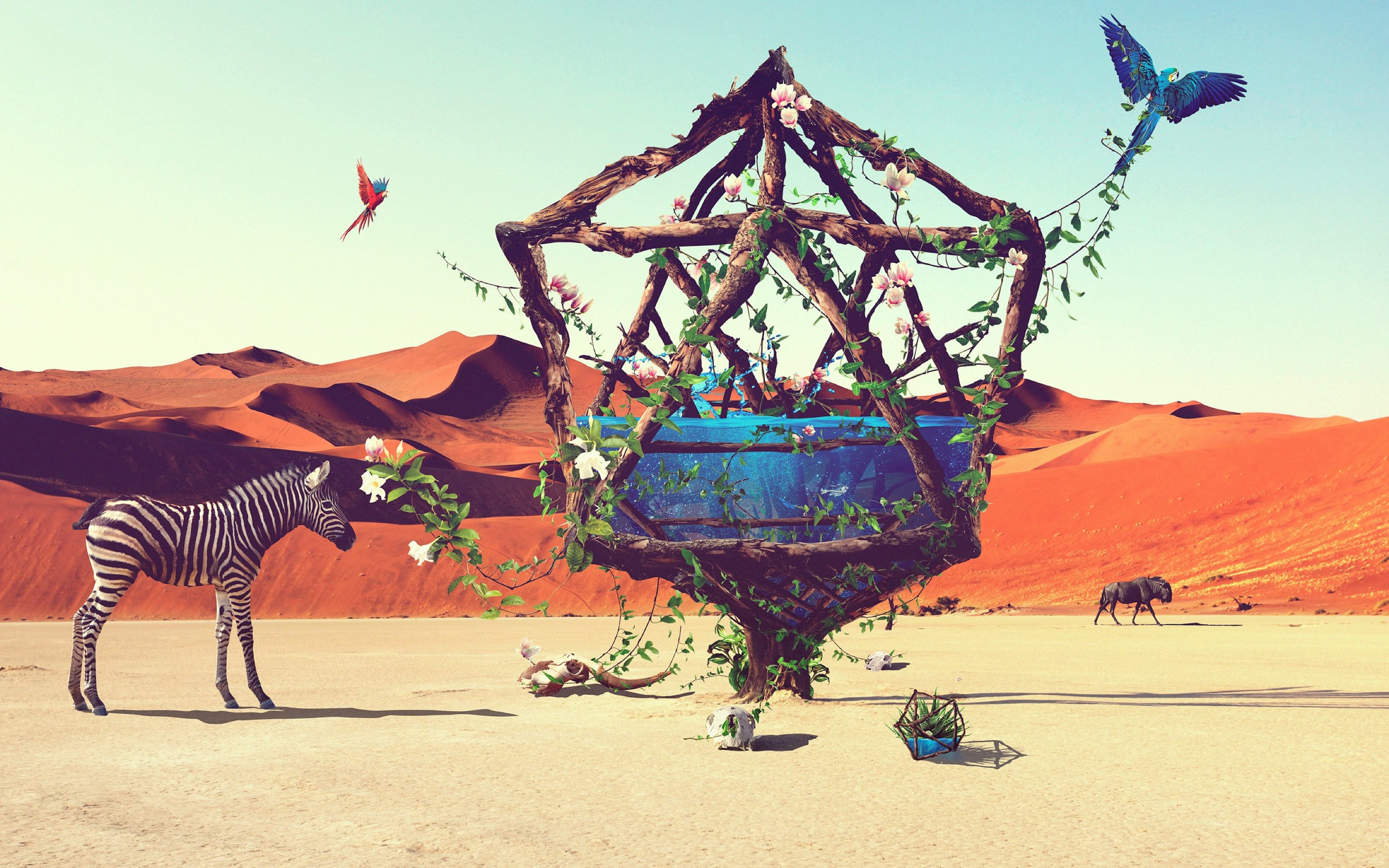 psychedelic, Nature, Zebra, Parrot, Fantasy, Photoshop, Water, Desert, Landscape Wallpaper
