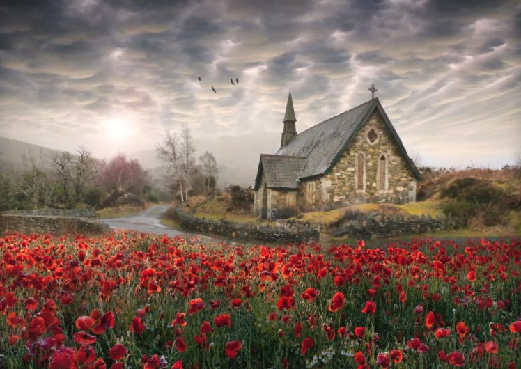 birds, Poppies, Church, Ireland, Flowers, Landscape, Poppy HD Wallpaper Desktop Background