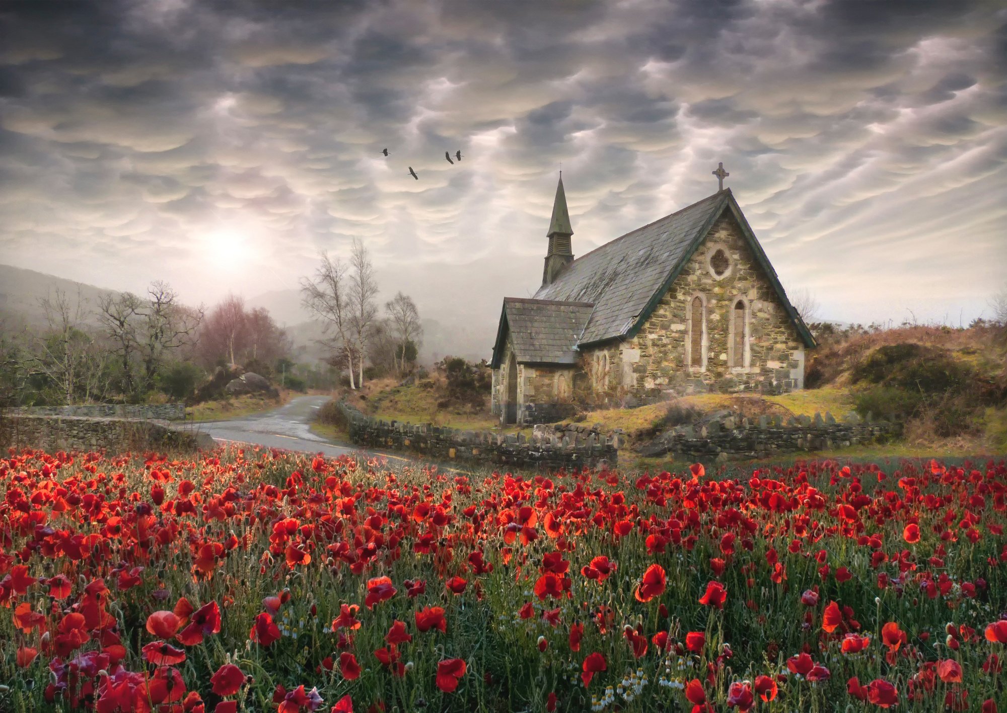 birds, Poppies, Church, Ireland, Flowers, Landscape, Poppy Wallpaper