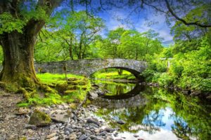 river, Bridge, Rocks, Trees, Landscape, Reflection
