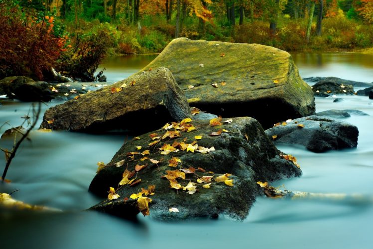 landscape, Stone, Autumn, River, Leaves, United, States, New, Hampshire HD Wallpaper Desktop Background