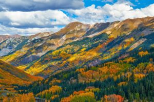 mountain, Forest, Forest, Colorado, Autumn, Usa