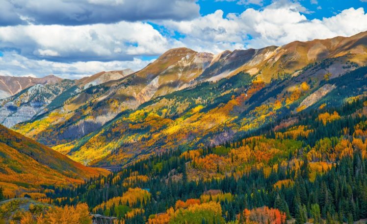 mountain, Forest, Forest, Colorado, Autumn, Usa HD Wallpaper Desktop Background