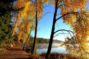 lake, Autumn, Road, Trees, Landscape