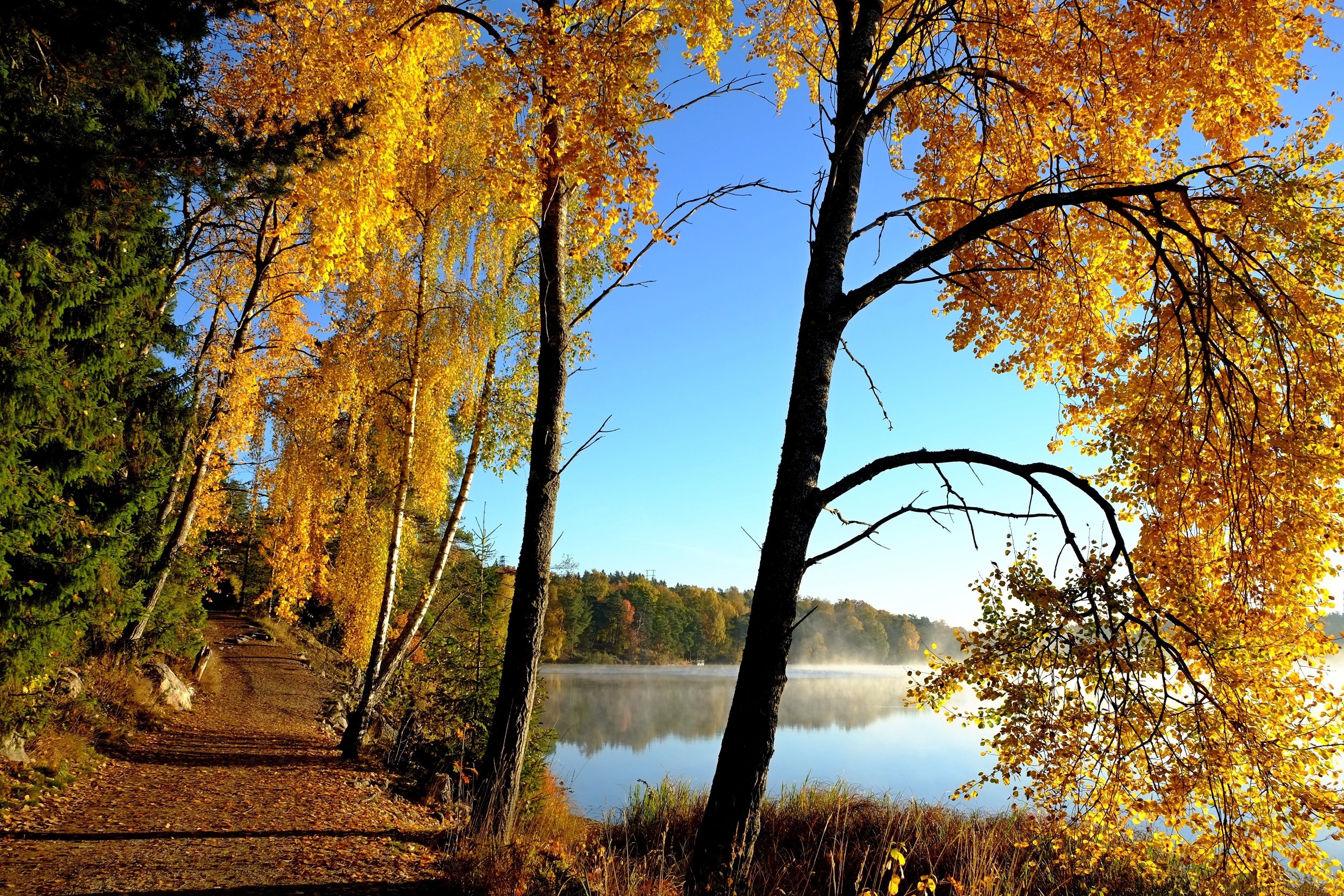 lake, Autumn, Road, Trees, Landscape Wallpaper