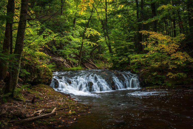 forest, River, Trees, Waterfall, Nature, Autumn HD Wallpaper Desktop Background