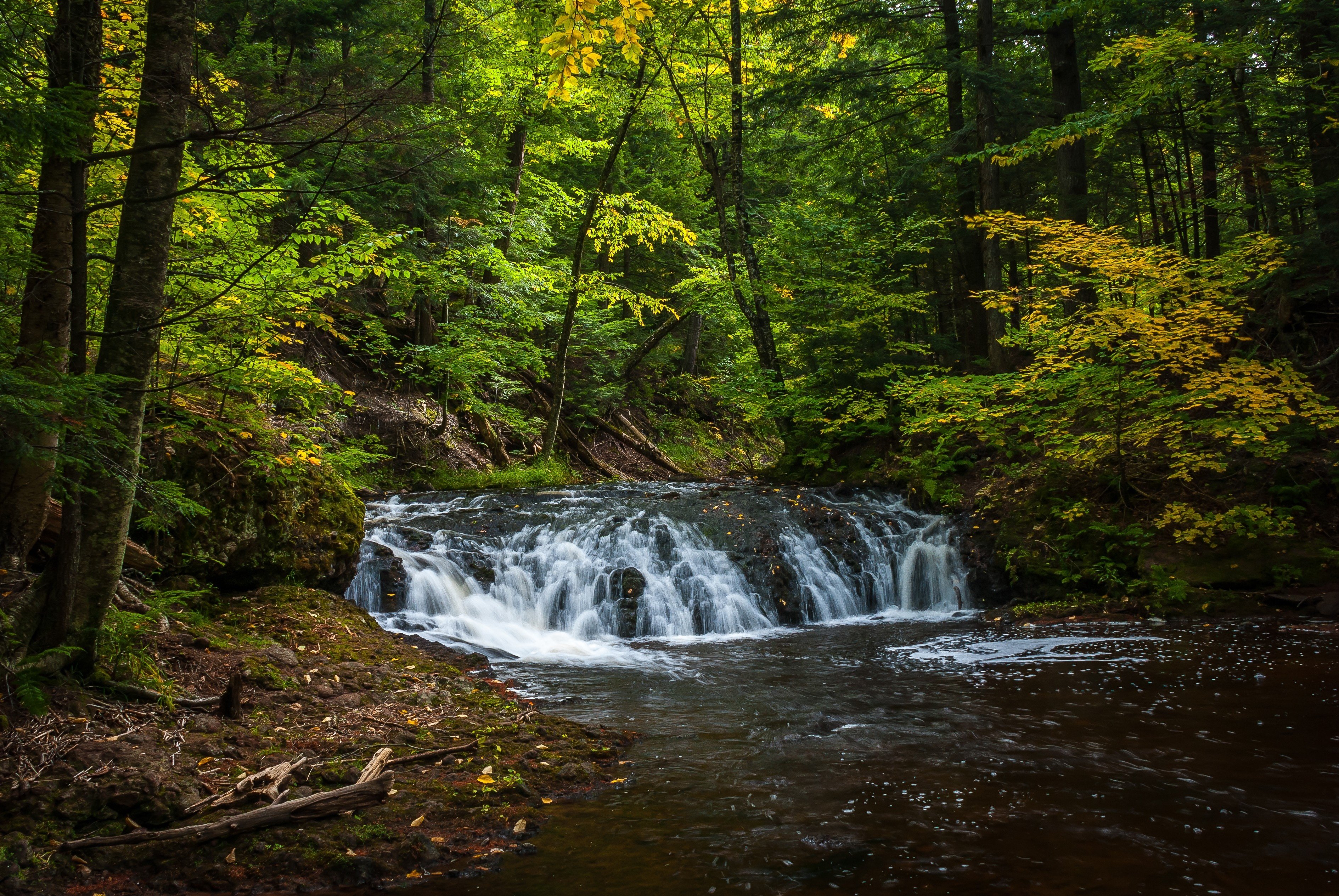 forest, River, Trees, Waterfall, Nature, Autumn Wallpaper
