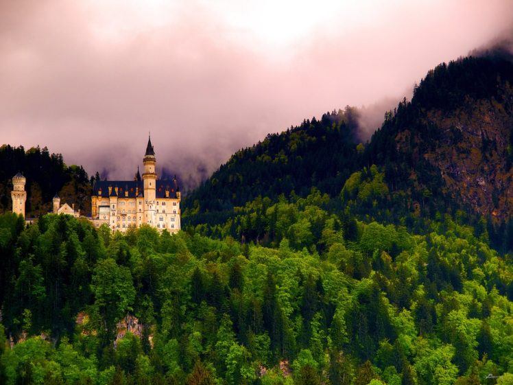 neuschwanstein, Castle, Bavaria, Germany, Forest, Castle, Landscape HD Wallpaper Desktop Background