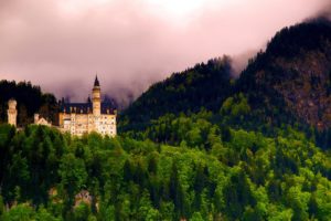 neuschwanstein, Castle, Bavaria, Germany, Forest, Castle, Landscape