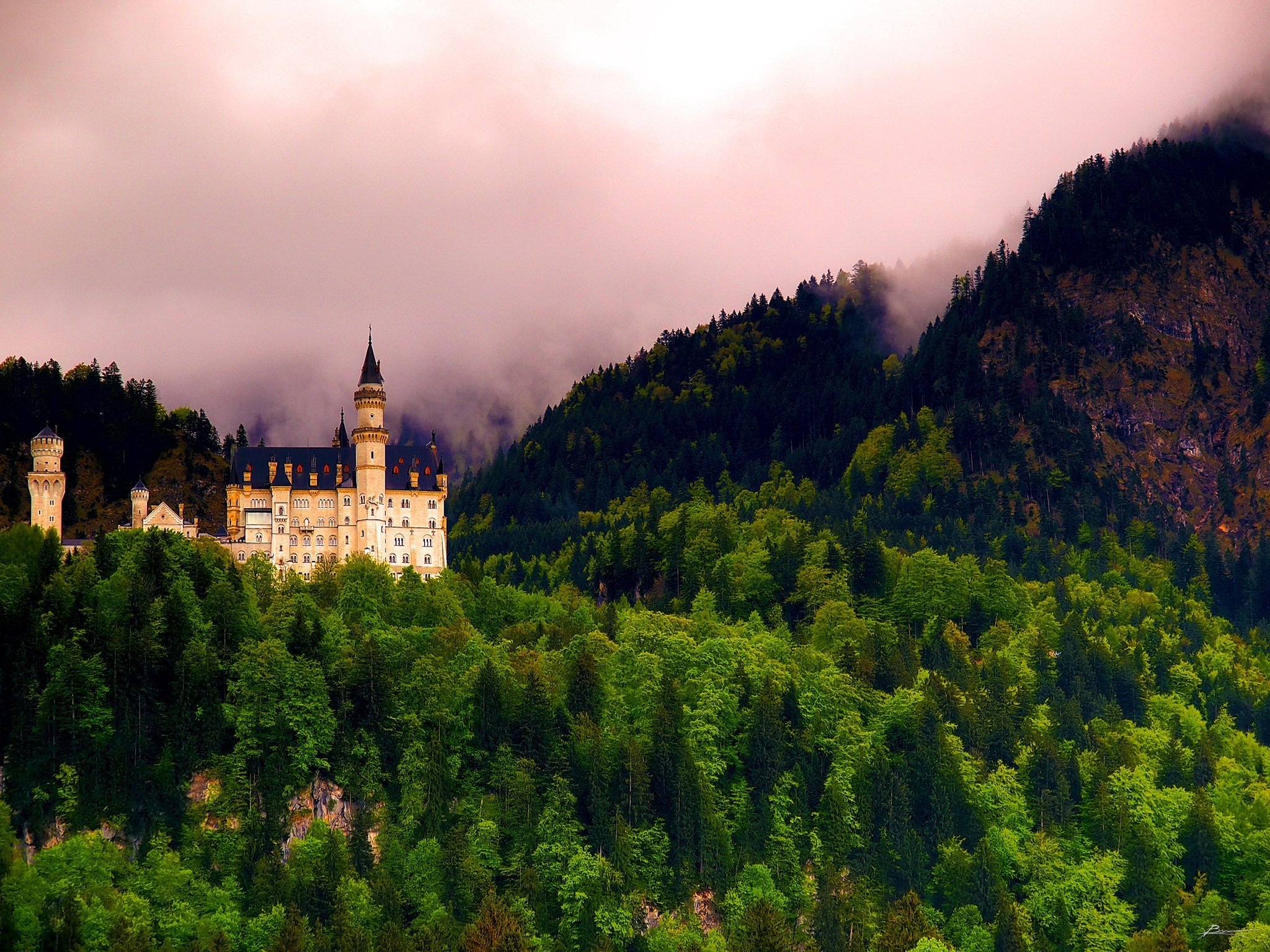 neuschwanstein, Castle, Bavaria, Germany, Forest, Castle, Landscape Wallpaper
