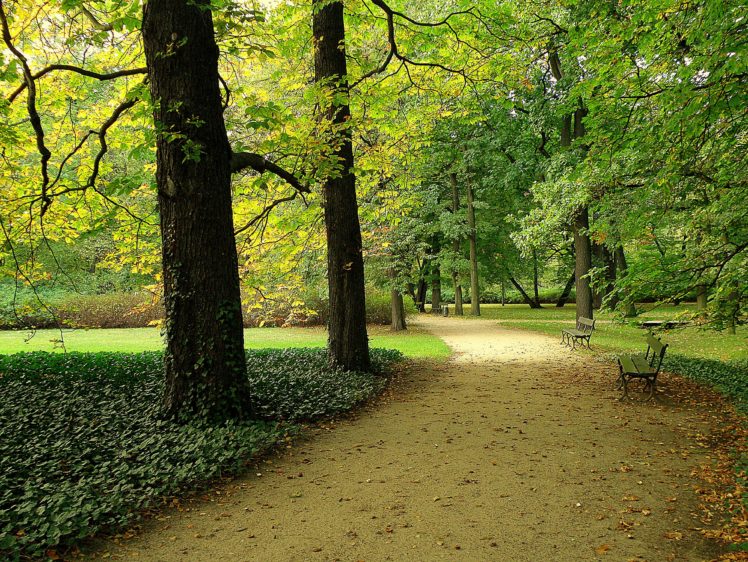 park, Trees, Road, Landscape, Autumn HD Wallpaper Desktop Background