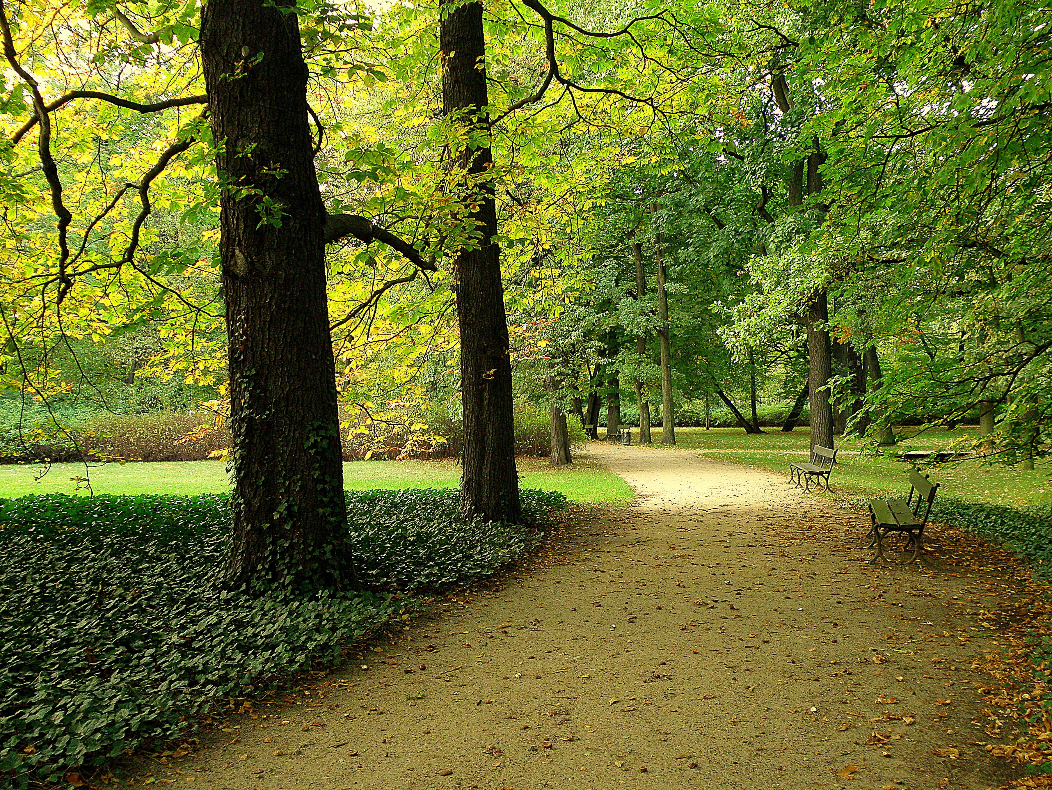 park, Trees, Road, Landscape, Autumn Wallpaper
