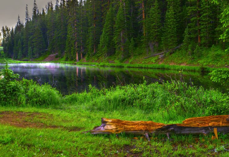 lake, Forest, Trees, Landscape HD Wallpaper Desktop Background