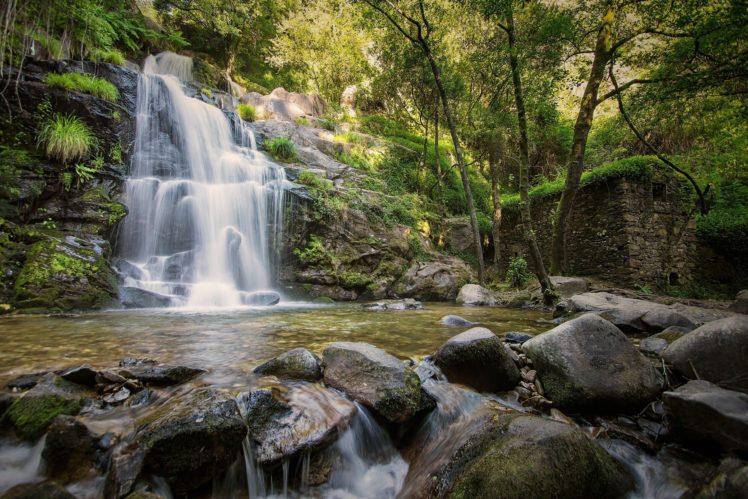 waterfall, Forest, River, Rocks, Stones, Landscape HD Wallpaper Desktop Background