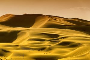landscape, Desert, Sand, Dunes
