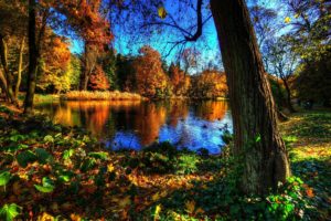 royal, Baths, Park, Warsawa, Landscape, Autumn, Lake