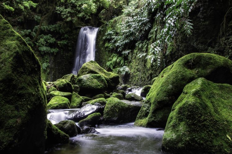 waterfall, Stones, Moss, Nature HD Wallpaper Desktop Background