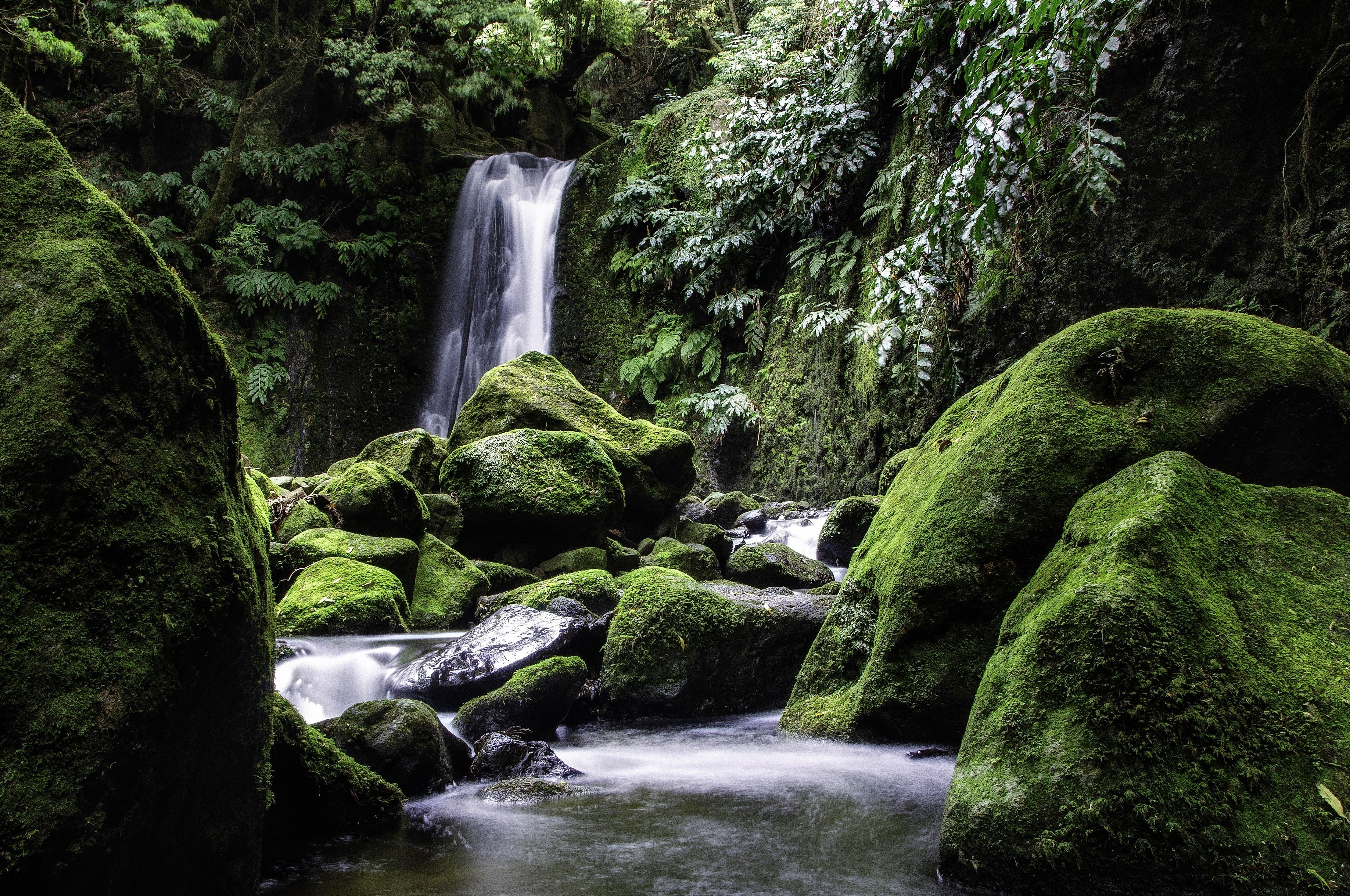 waterfall, Stones, Moss, Nature Wallpaper