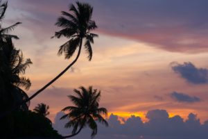 maldives, Tropical, Palm, Trees, Sunset, Clouds