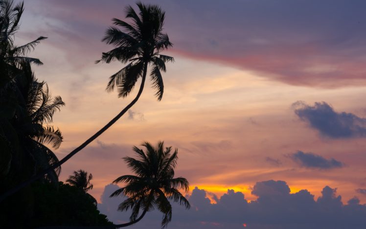 maldives, Tropical, Palm, Trees, Sunset, Clouds HD Wallpaper Desktop Background