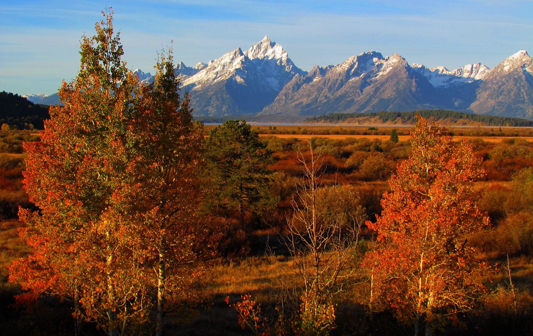 grand, Teton, National, Park, Trees, United, States, Wyoming, Autumn, Mountains Wallpaper