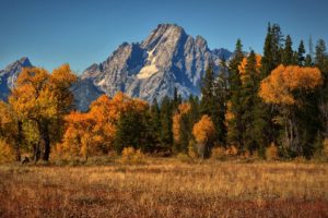 mountain, Autumn, Landscape, Mount, Moran