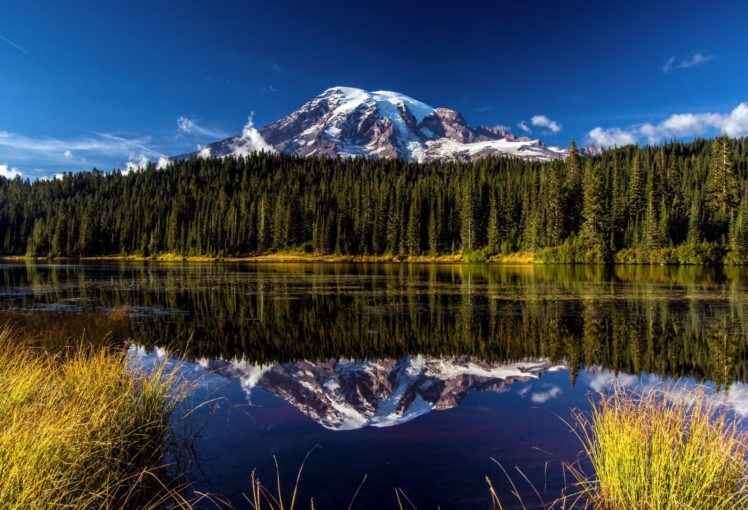 forest, Landscape, Mountain, Mount, Rainier, National, Park, Volcano, Reflection, Lake HD Wallpaper Desktop Background