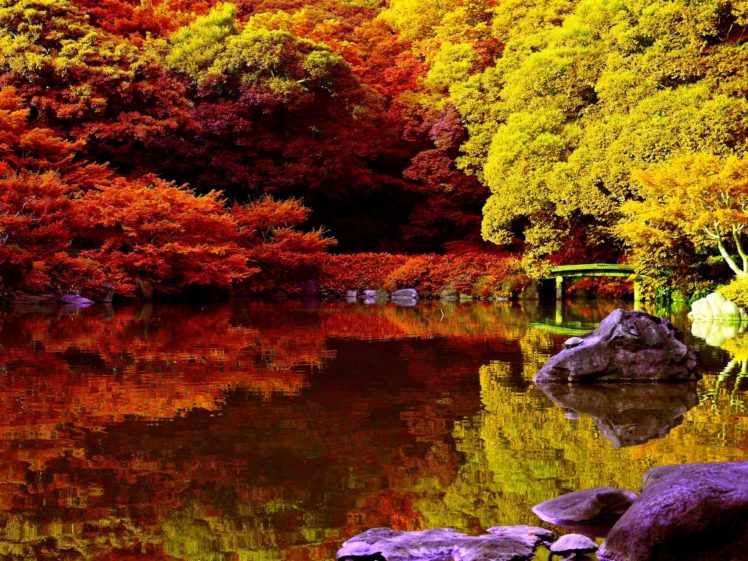 autumn, Park, Pond, Trees, Reflection, Lake HD Wallpaper Desktop Background